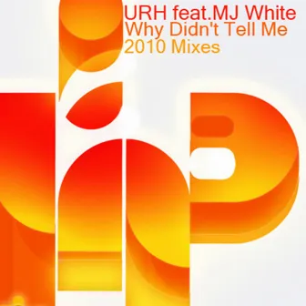 Why Didn't Tell Me (2010 Mixes) by URH