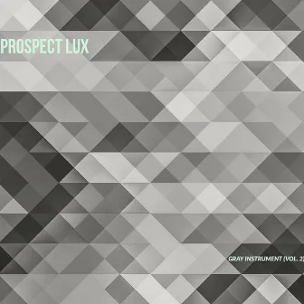 Gray Instrument, Vol. 2 by Prospect Lux