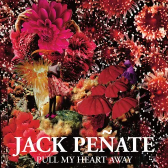 Pull My Heart Away by Jack Peñate