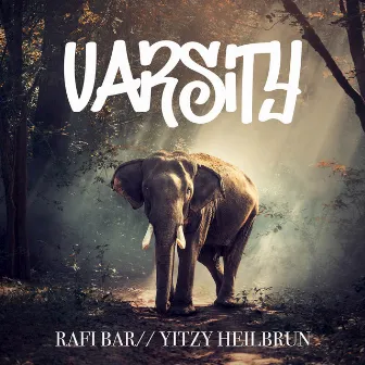 Varsity by Yitzy Heilbrun