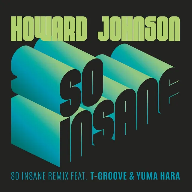 So Insane (T-Groove & Yuma Hara Remix)