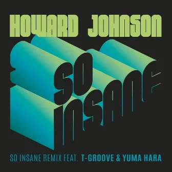 So Insane (T-Groove & Yuma Hara Remix) by Howard Johnson