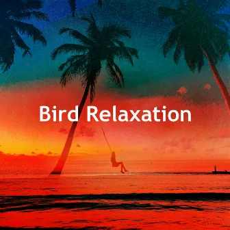 Bird Relaxation by Soul Healer