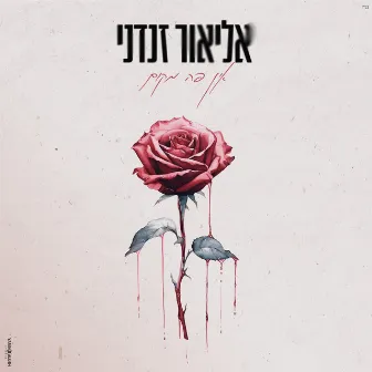 אין פה מקום by Elior Zandani