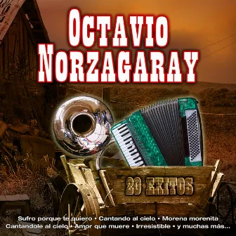 20 Éxitos by Octavio Norzagaray