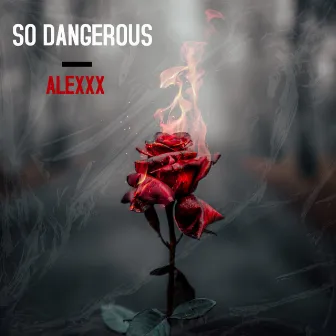 So Dangerous by Alexxx