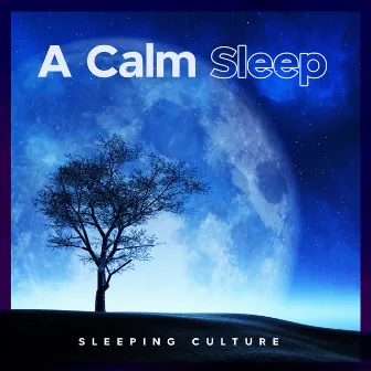 A Calm Sleep by Sleeping Culture