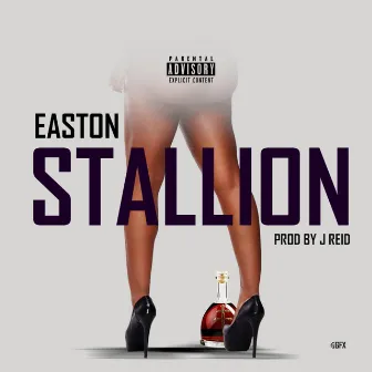 Stallion by Easton