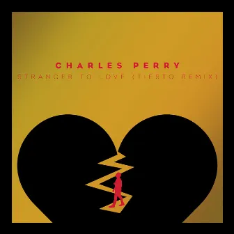 Stranger To Love (Tiesto Remix) by Charles Perry