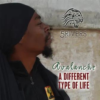 Different Type of Life by 