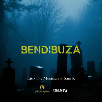 BENDIBUZA by Liso the Musician