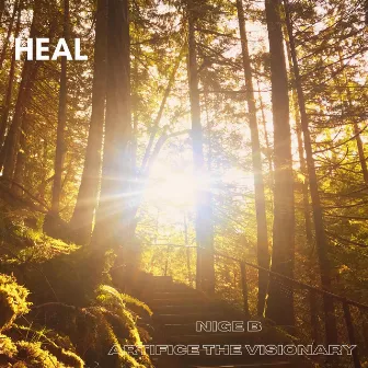 Heal (Radio Edit) by Nige B