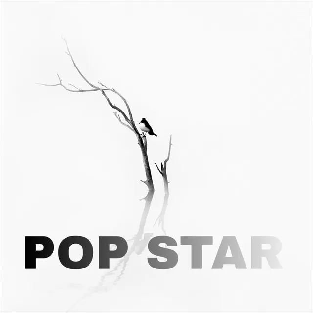 Pop Star