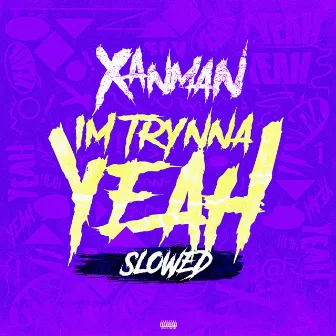 I'm Trynna Yeah (slowed) by XanMan