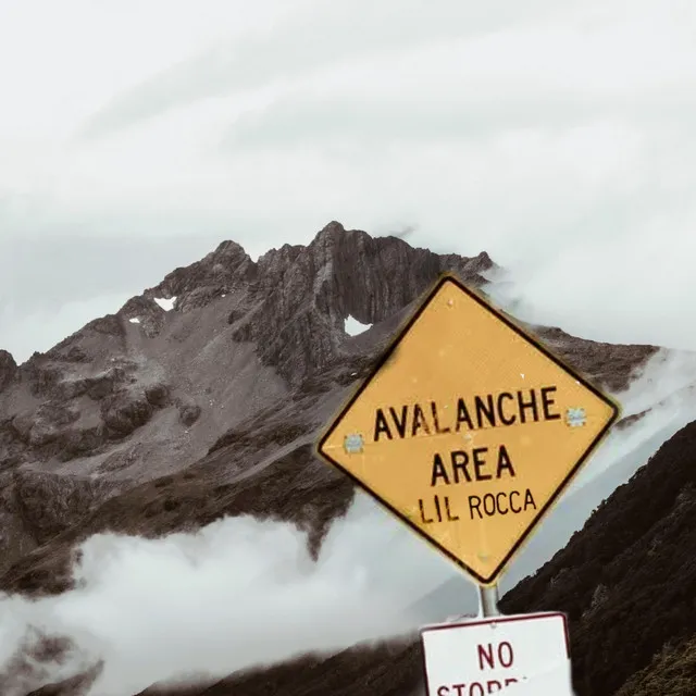 AVALANCHE (WHAT'S THE WORD)