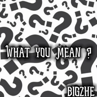 What You Mean by BigZhe