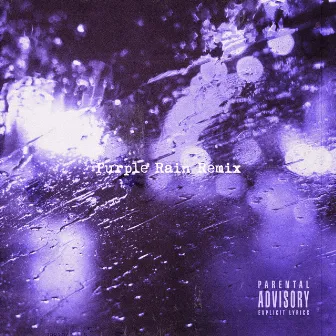 Purple Rain (Remix) by 3House