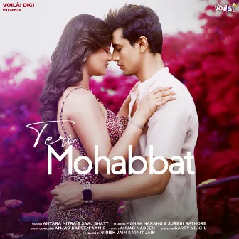 Teri Mohabbat by Amjad Nadeem Aamir