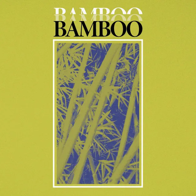 Bamboo