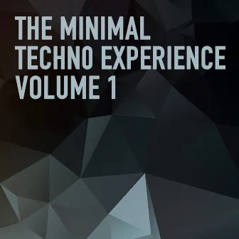 The Minimal Techno Experience by Unknown Artist