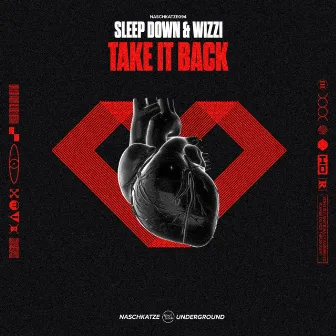 Take It Back by Sleep Down