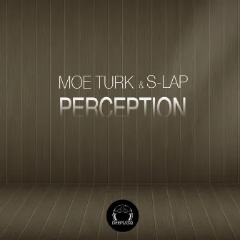 Perception by Slap