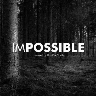 Impossible by Bastiancortesxv