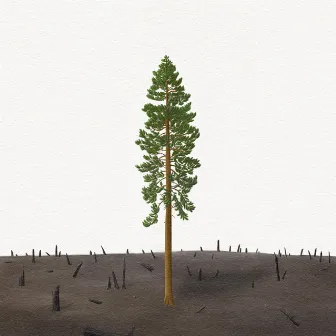 The Tree That Remained Standing by Jake Soffer