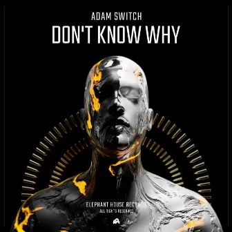 Don't Know Why by Adam Switch