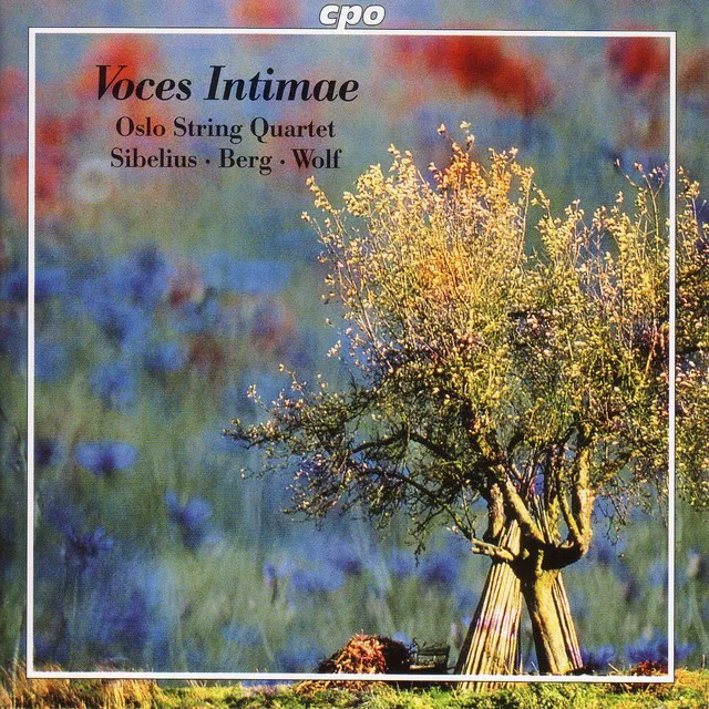 String Quartet in D Minor, Op. 56 "Voces intimae": V. Allegro