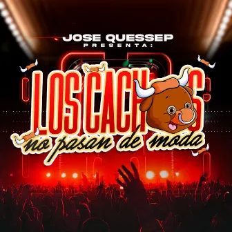 Los Cachos No Pasan De Moda by Jose Quessep