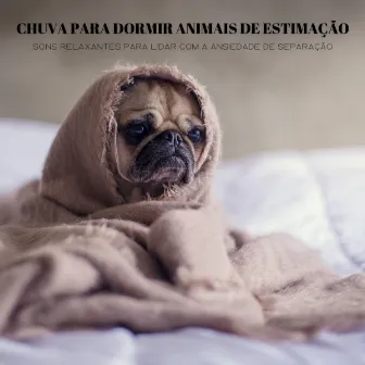 Chuva Para Dormir Animais De Estimação: Sons Relaxantes Para Lidar Com A Ansiedade De Separação by Liberdade