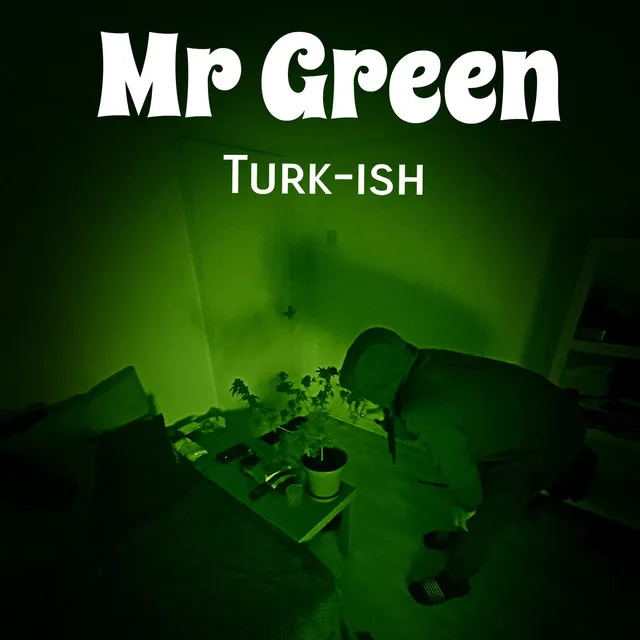 Mr Green