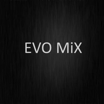 Evo Mix by C.C. Catch