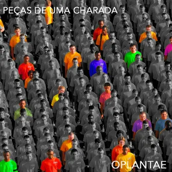 Peças de uma Charada by O Plantae