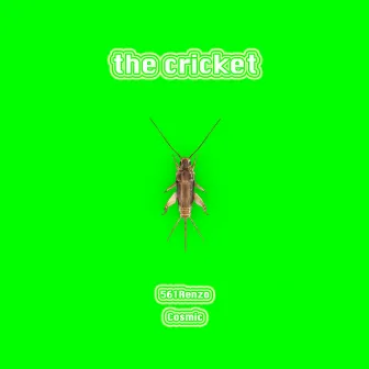 The Cricket by 561Renzo