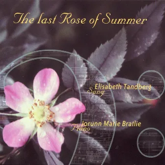 The Last Rose of Summer by Jorunn Marie Bratlie