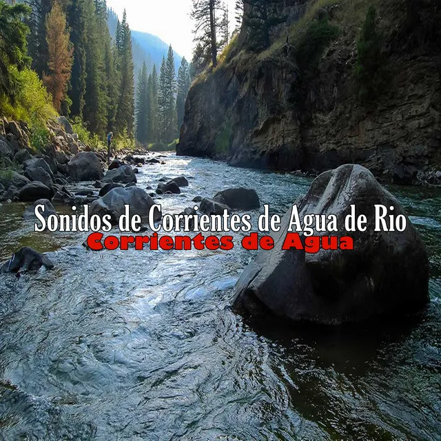 Sonidos de Corrientes de Agua de Rio 31