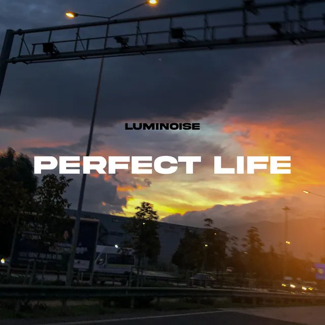 perfect life