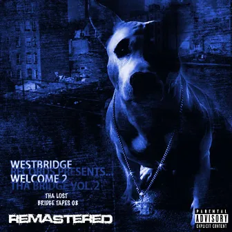 Welcome 2 Tha Bridge Vol. 2 (Tha Lost Bridge Tapes 08) by Westbridge Records Presents