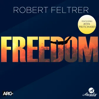 Freedom (Original Mix) by Robert Feltrer