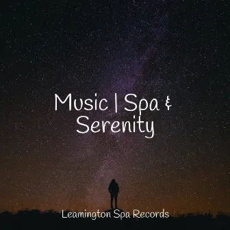 Music | Spa & Serenity by Rain Sounds Rain