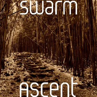 Ascent by Swarm