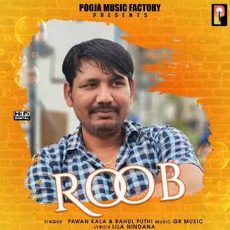 Roob by Pawan Kala