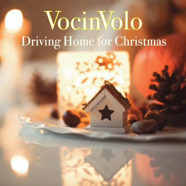 Driving Home For Christmas