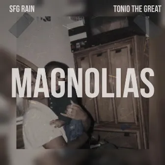 Magnolias by SFG Rain