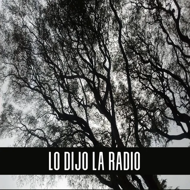 Lo Dijo la Radio