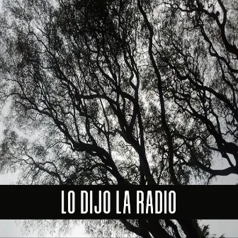 Lo Dijo la Radio by Omar Giammarco