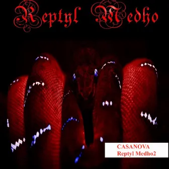 Reptyl Medho 2 by Unknown Artist