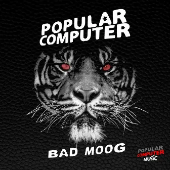 Bad Moog by Popular Computer